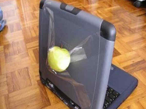 Funny apple memes Funny apple memes