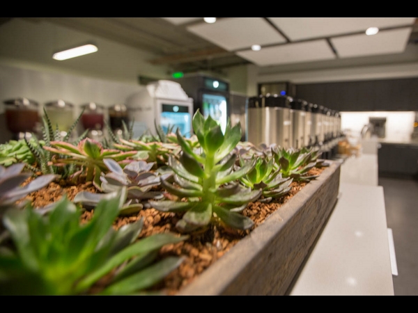   ಟ್ವೀಟರ್‌ ಆಫೀಸ್‌