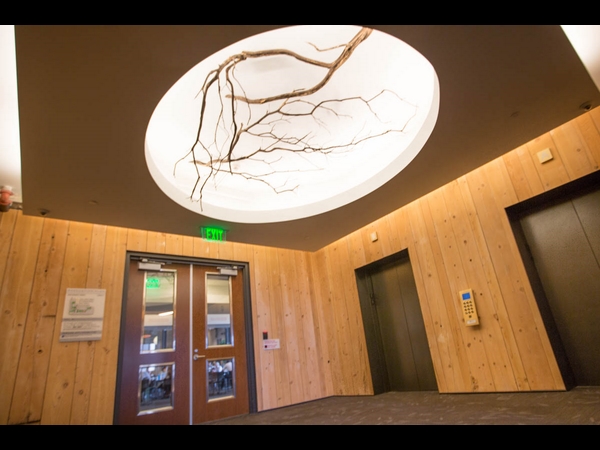  ಟ್ವೀಟರ್‌ ಆಫೀಸ್‌