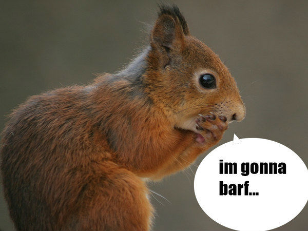 ರಹಸ್ಯ ಬೇಧಿಸುವ ಟಾಪ್ 10 ಅತ್ಯದ್ಭುತ ಗ್ಯಾಜೆಟ್‌ಗಳು