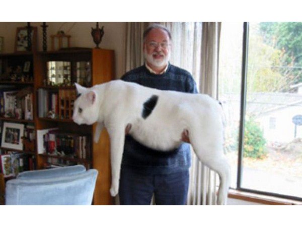 ಫೋಟೋಶಾಪ್ ತಪ್ಪುಗಳು ಫೋಟೋಶಾಪ್ ತಪ್ಪುಗಳು