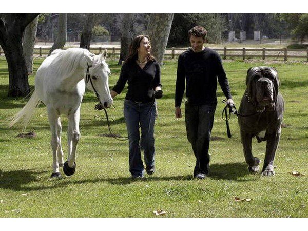 ಫೋಟೋಶಾಪ್ ತಪ್ಪುಗಳು ಫೋಟೋಶಾಪ್ ತಪ್ಪುಗಳು