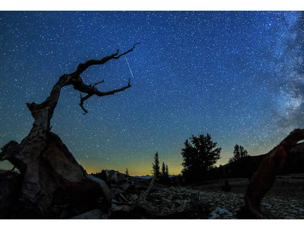 ಟೈಮ್ ಲ್ಯಾಪ್ಸ್ ವೀಡಿಯೊ ತಯಾರಿಸಲು ಸರಳ 10 ವಿಧಾನಗಳು ಟೈಮ್ ಲ್ಯಾಪ್ಸ್ ವೀಡಿಯೊ ತಯಾರಿಸಲು ಸರಳ 10 ವಿಧಾನಗಳು