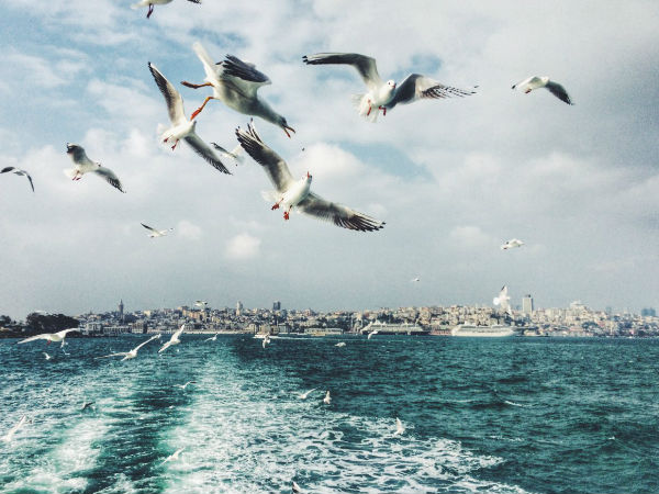 ಸೋನಿ ಅತ್ಯುತ್ತಮ ಚಿತ್ರ ಪ್ರಶಸ್ತಿಗೆ ಯಾವ ಚಿತ್ರ ಅರ್ಹ?