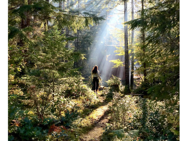 ಐಫೋನ್ 6 ಕ್ಯಾಮೆರಾ ಕೈಚಳಕ