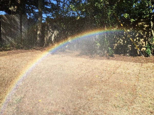 ಐಫೋನ್ 6 ಕ್ಯಾಮೆರಾ ಕೈಚಳಕ