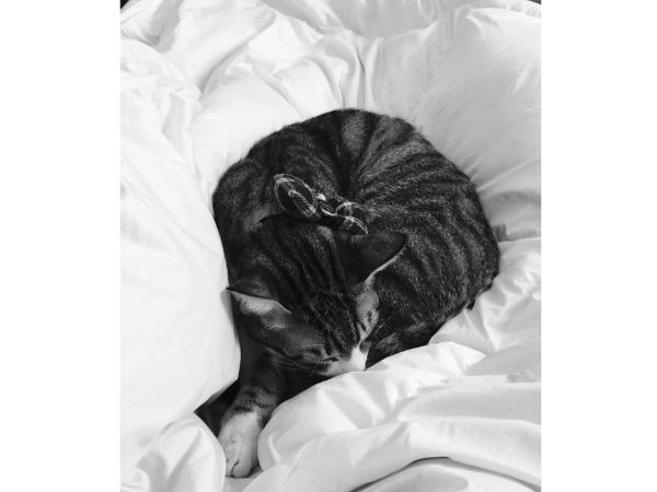 ಐಫೋನ್ 6 ಕ್ಯಾಮೆರಾ ಕೈಚಳಕ