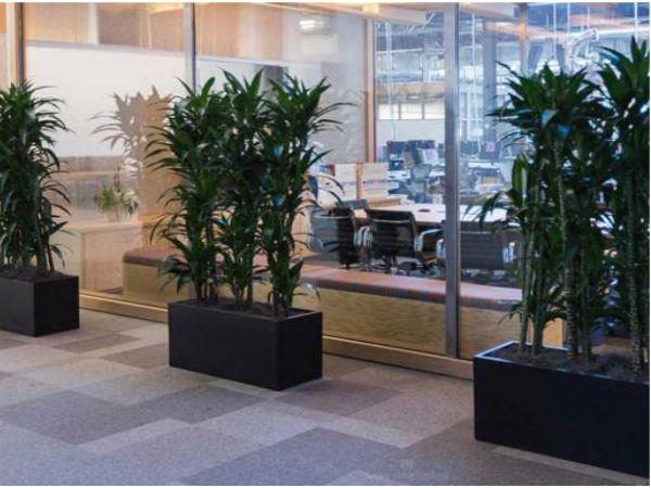 ಗಾಜಿನ ಬಳಕೆ