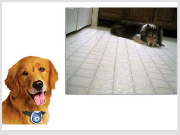 ರೋವರ್ ಕ್ಯಾಮ್