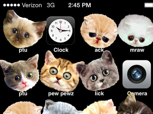 ಅವರ ಅಪ್ಲಿಕೇಶನ್‌ಗಳನ್ನು ಬೆಕ್ಕಿನ ಮುಖಕ್ಕೆ ಬದಲಾಯಿಸುವುದು