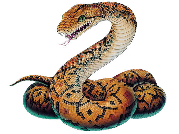  ಸುಳ್ಳು ನಿಜವಾಯಿತು