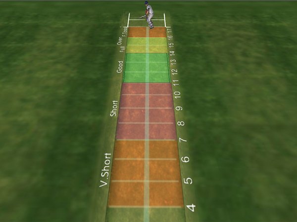 ಪಿಚ್ ವೀಕ್ಷಣೆ