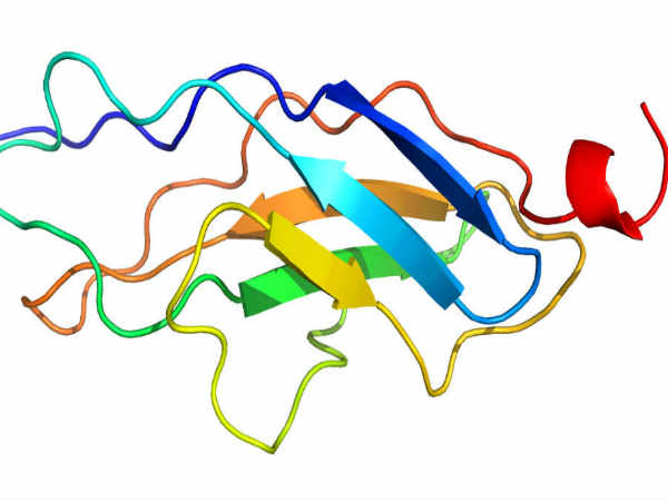 ನೈಸರ್ಗಿಕ ಪ್ರೊಟೀನ್ ನೈಸರ್ಗಿಕ ಪ್ರೊಟೀನ್
