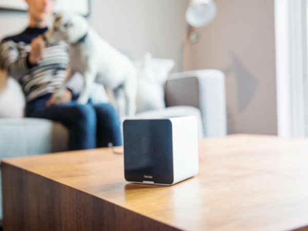 ಪೆಟ್ ಕ್ಯೂಬ್ ಪೆಟ್ ಕ್ಯೂಬ್