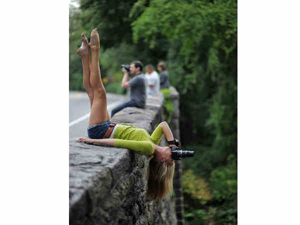 ಫೋಟೋ ಜೀವಂತಿಕೆ