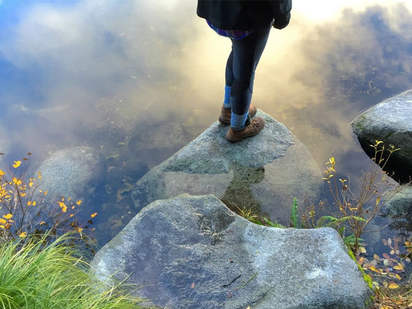 ಐಫೋನ್ 6 ನಲ್ಲಿ ತೆಗೆದ ಚಿತ್ರಗಳು