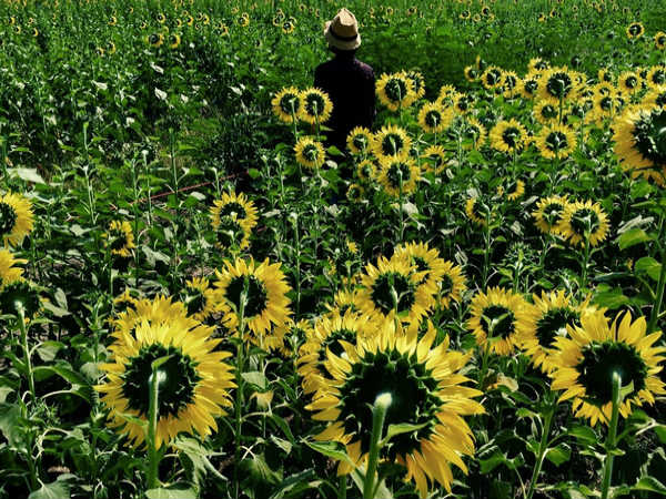 ಐಫೋನ್ 6 ನಲ್ಲಿ ತೆಗೆದ ಚಿತ್ರಗಳು
