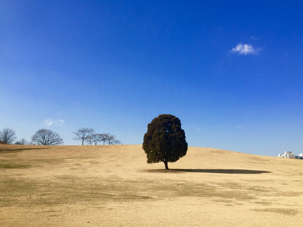 ಐಫೋನ್ 6 ನಲ್ಲಿ ತೆಗೆದ ಚಿತ್ರಗಳು