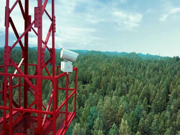 ಕಾಡಿನ ಸಂರಕ್ಷಣೆ