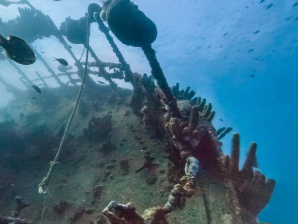 ಮಲ್‌ಮಾಕ್ ಬೇ