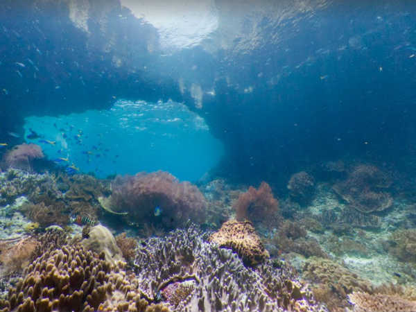 ಇಂಡೋನೇಷ್ಯಾ 