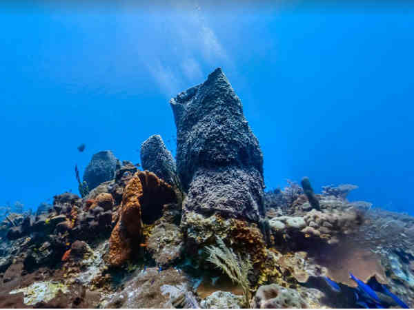 ಬಹಾಮಾ ಐಲ್ಯಾಂಡ್ಸ್