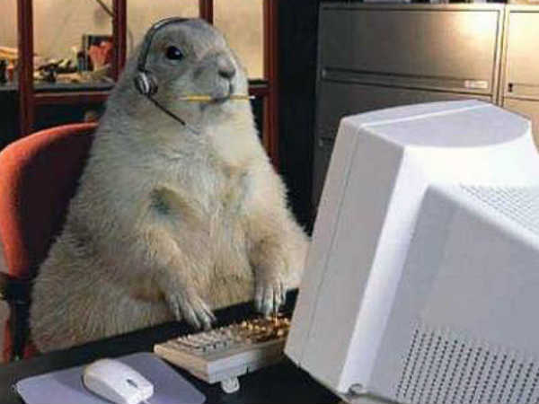 ಕಂಪ್ಯೂಟರ್ ಆಟ