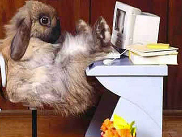 ಮೋಜಿನಾಟ