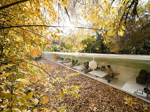 ಸೆಲೆಗಾಸ್ ಆರ್ಕಿಟೆಕ್ಚರ್