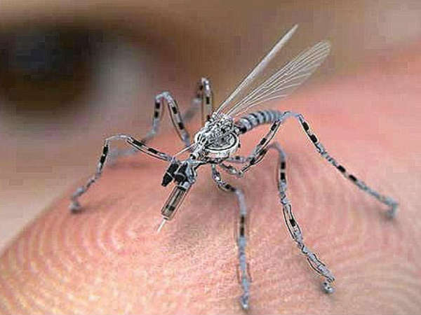 2 ಸೆಂಮೀ ಉದ್ದದ ದೇಹ 2 ಸೆಂಮೀ ಉದ್ದದ ದೇಹ