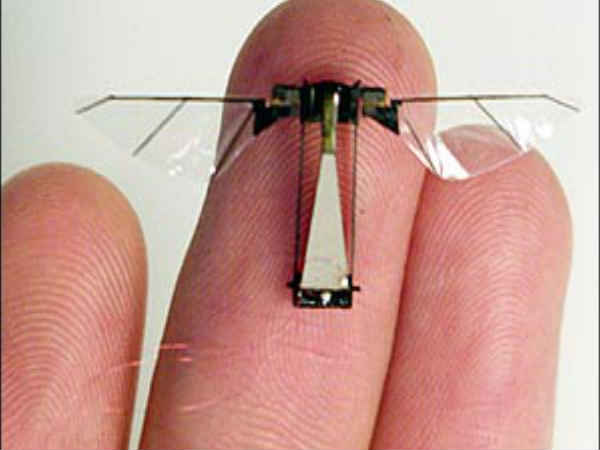 ನಿಸರ್ಗವು ಅದ್ಭುತ ಶಕ್ತಿ ನಿಸರ್ಗವು ಅದ್ಭುತ ಶಕ್ತಿ