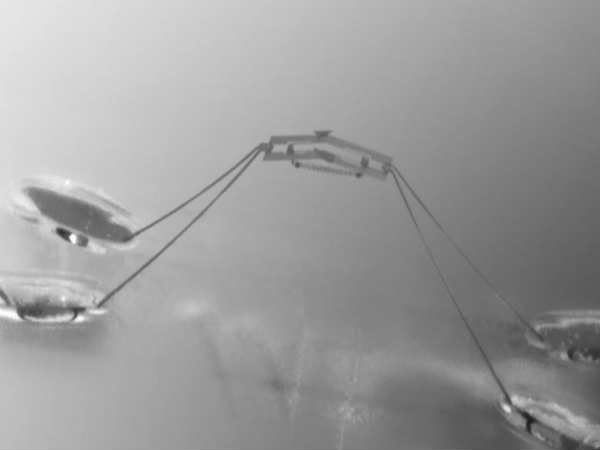 ನೀರಿನಲ್ಲಿ ಇನ್ನಷ್ಟು ಚಟುವಟಿಕೆ ನೀರಿನಲ್ಲಿ ಇನ್ನಷ್ಟು ಚಟುವಟಿಕೆ