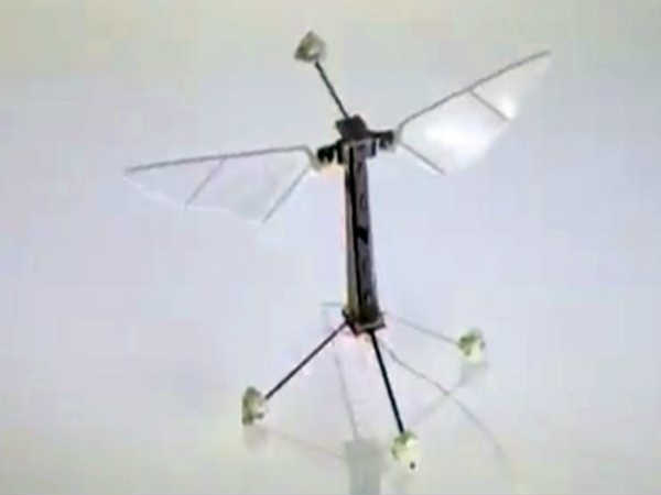 ಕೀಟಗಳನ್ನು ಅನ್ವೇಷಿಸಿ ಕೀಟಗಳನ್ನು ಅನ್ವೇಷಿಸಿ