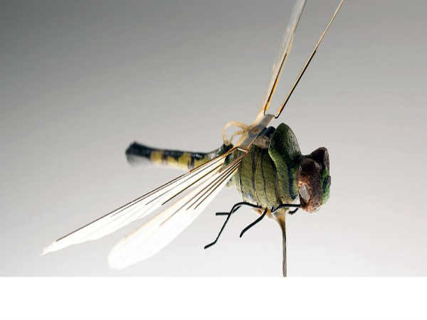 ಹಾರ್ವರ್ಡ್ ವಿಶ್ವವಿದ್ಯಾಲಯದ ಸಂಶೋಧಕರು ಹಾರ್ವರ್ಡ್ ವಿಶ್ವವಿದ್ಯಾಲಯದ ಸಂಶೋಧಕರು