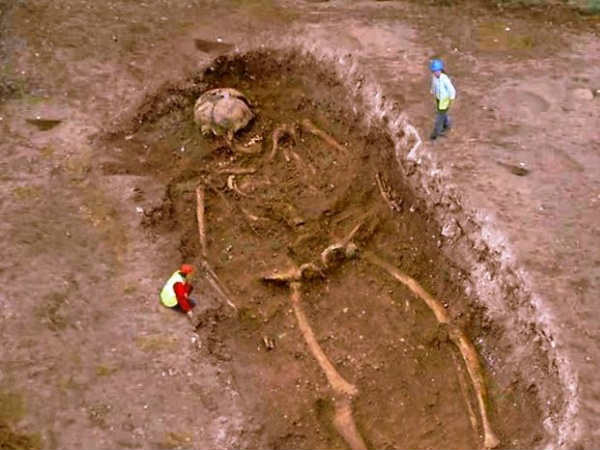 ದೈತ್ಯ ಮಾನವ ಅಸ್ಥಿಪಂಜರ