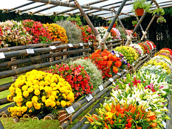 ಮೊಬೈಲ್‌ನಲ್ಲಿ ರಾರಾಜಿಸುತ್ತಿರುವ ಬೆಂಗಳೂರಿನ ಸ್ಥಳಗಳು