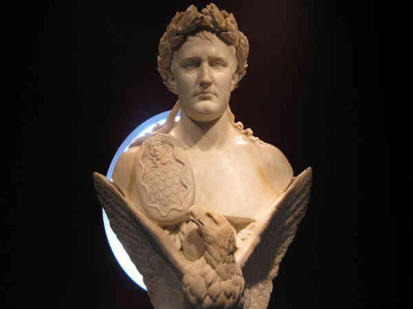 ನೆಪೋಲಿಯನ್‌ನ ಮೈಕ್ರೋ ಚಿಪ್