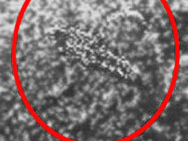 ವೀನಸ್ ಸ್ಕೋರ್ಪಿಯನ್