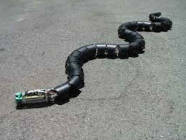 ಸಾರ್ಪ್ ರೊಬೋಟ್