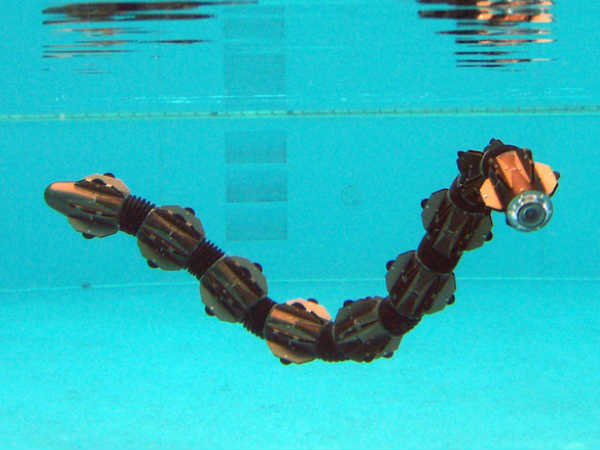 ಸಾರ್ಪ್ ರೊಬೋಟ್