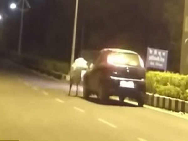 ಬೆಸ್ತು ಬೀಳಿಸಲು ಹೋಗಿ ತಾವೇ ಮೂರ್ಖರಾದ ದೆವ್ವಗಳು!!!