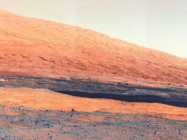 ಮಾಸ್ಟ್ ಕ್ಯಾಮೆರಾ 