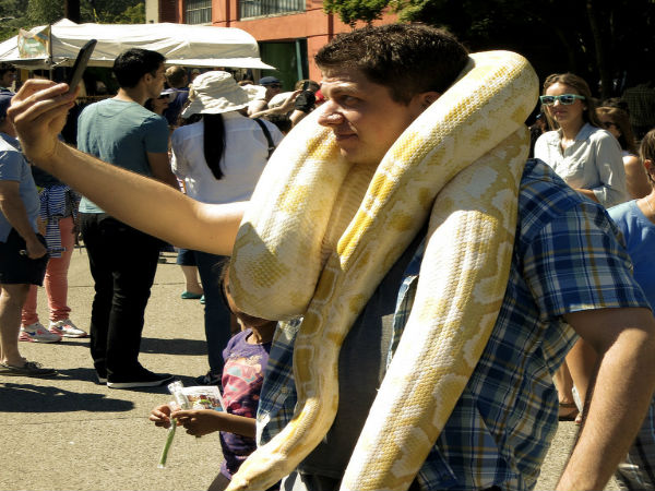 ಪ್ರಾಣಾಂತಕಾರಿ ಸೆಲ್ಫಿ
