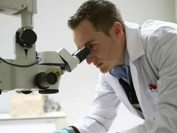 ಫೇಸ್ಬುಕ್ ಉದ್ಯೋಗ ಫೇಸ್ಬುಕ್ ಉದ್ಯೋಗ