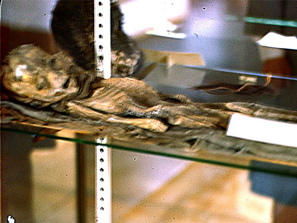 ರಶ್ಯಾದಲ್ಲಿ ಏಲಿಯನ್ ಮೃತ ದೇಹ