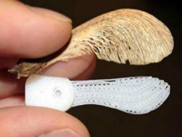 ಮೈಕ್ರೋ ಕ್ಯಾಮೆರಾಗಳು ಮೈಕ್ರೋ ಕ್ಯಾಮೆರಾಗಳು