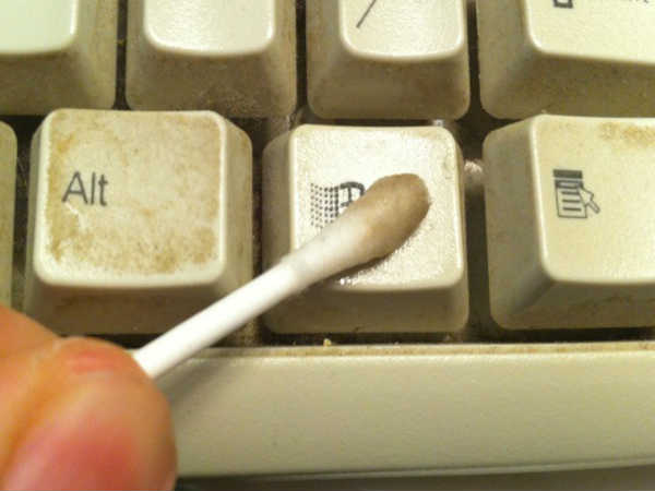 ಇಯರ್ ಬಡ್ಸ್