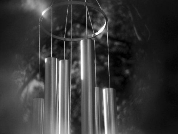 ಫೋಟೋಗ್ರಫಿ ಸಲಹೆಗಳು   