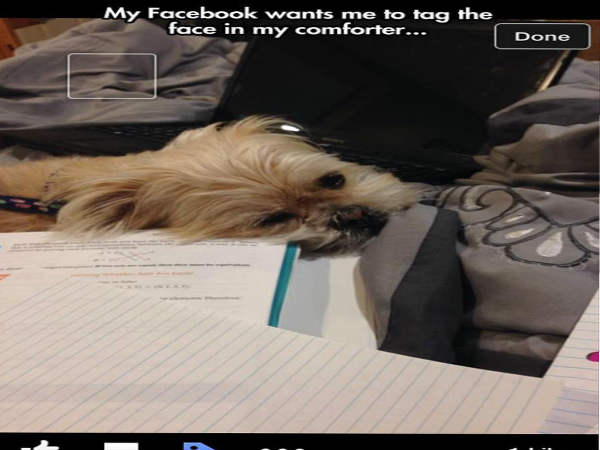 ನಾವಿಲ್ಲದೇ ಕೆಲಸ ಮಾಡಲಾರವು ಯಂತ್ರಗಳು