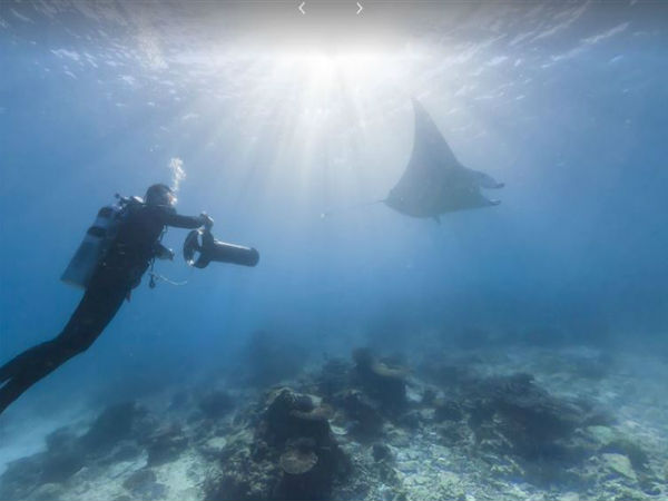 ಗೂಗಲ್‌ ಸ್ಟ್ರೀಟ್ ವ್ಯೂ- ಲೇಡಿ ಇಲಿಯಟ್‌ ದ್ವೀಪ, ಗ್ರೇಟ್‌ ಬ್ಯಾರಿಯರ್‌ ರೀಫ್